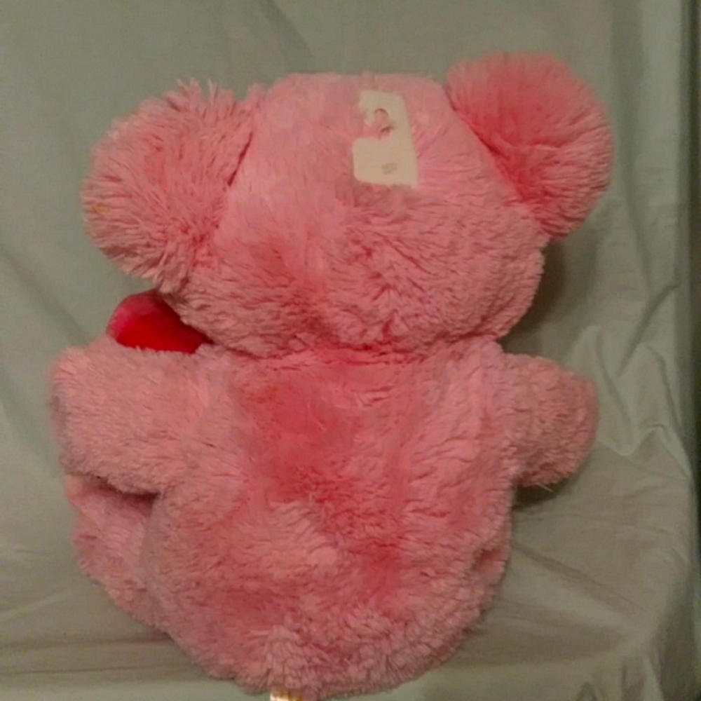 Princess Bear - Picture 6 of 10
